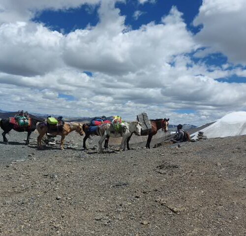 Rumtese To Tsomoriri Trek