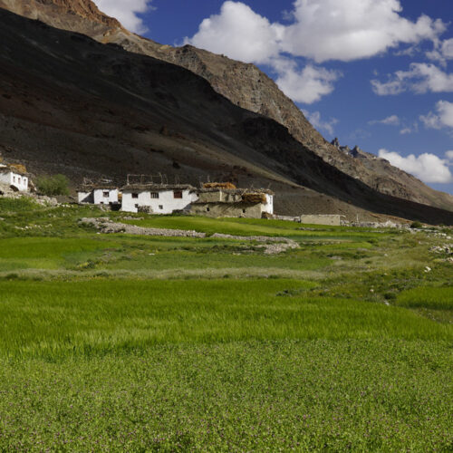 SARCHU PADUM ZANSKAR TREK