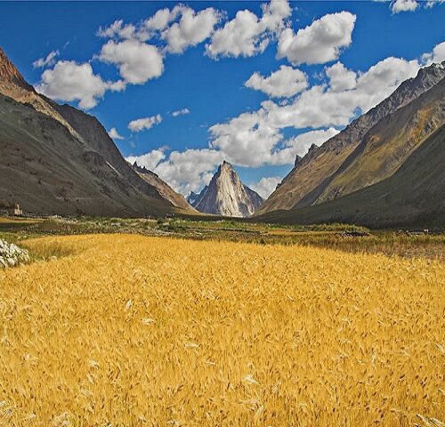 Manali – Padum Zanskar _ Leh Short trip